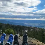 Boehmerwald