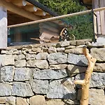 Boehmerwald * ウルリッヒスベルク