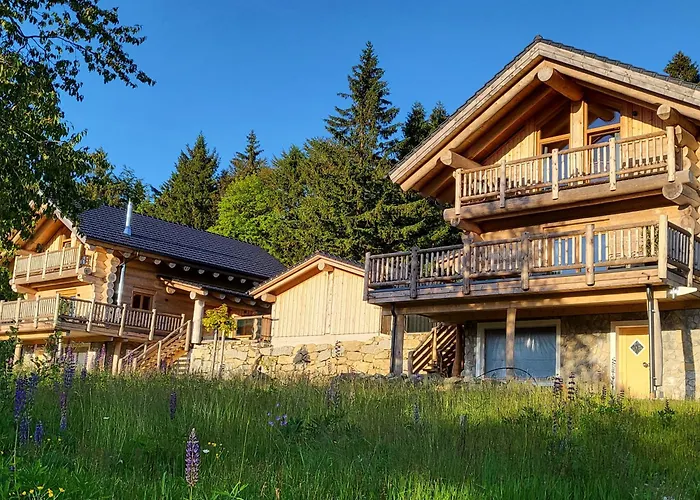 Tatil Evi Boehmerwald *